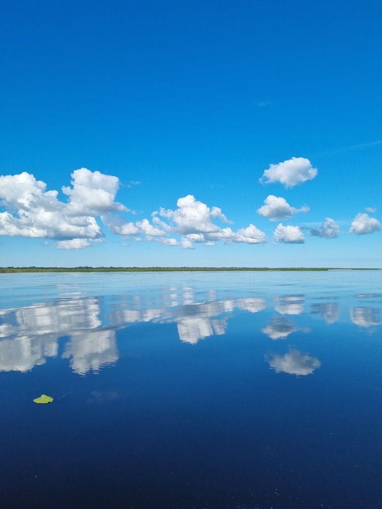 Photograph by Татьяна Стружкина
