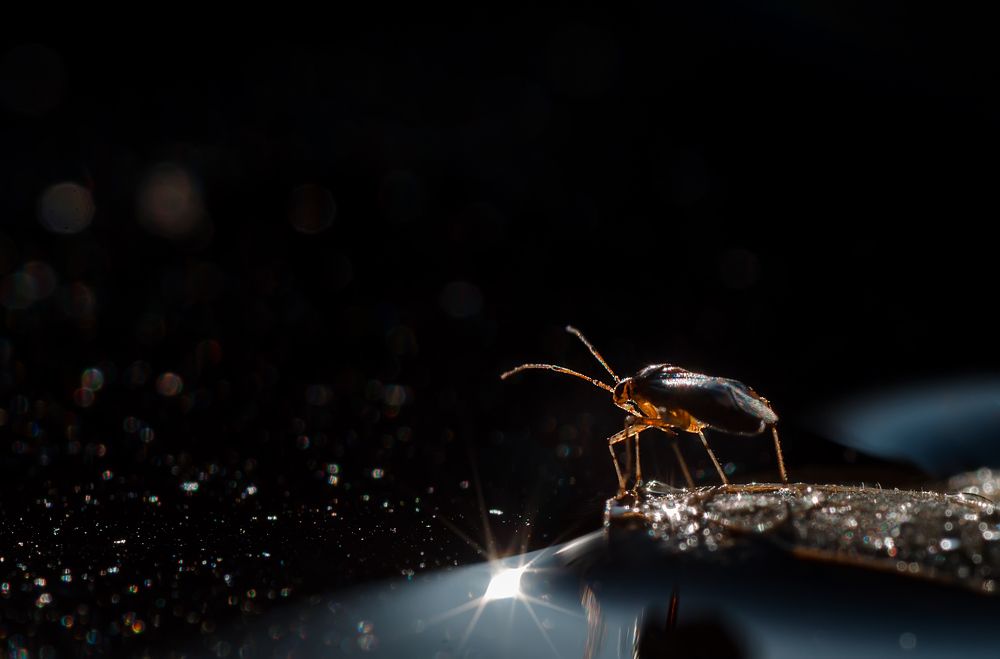 Photograph by Тарасова Ольга