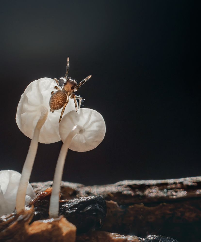 Photograph by Тарасова Ольга