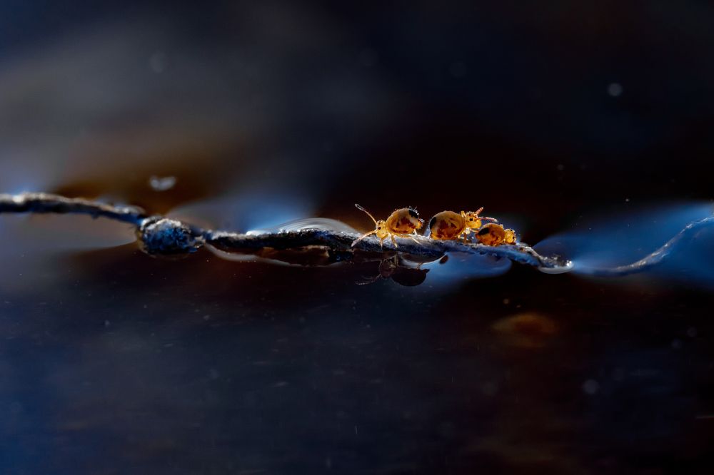 Photograph by Тарасова Ольга