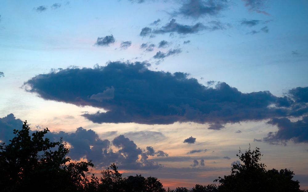 Photograph by Boris Nesh