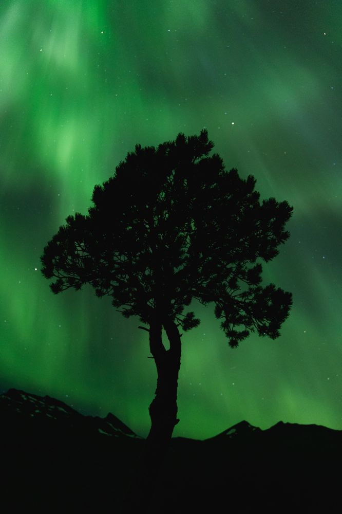 Photograph by Dawid Łozowicki