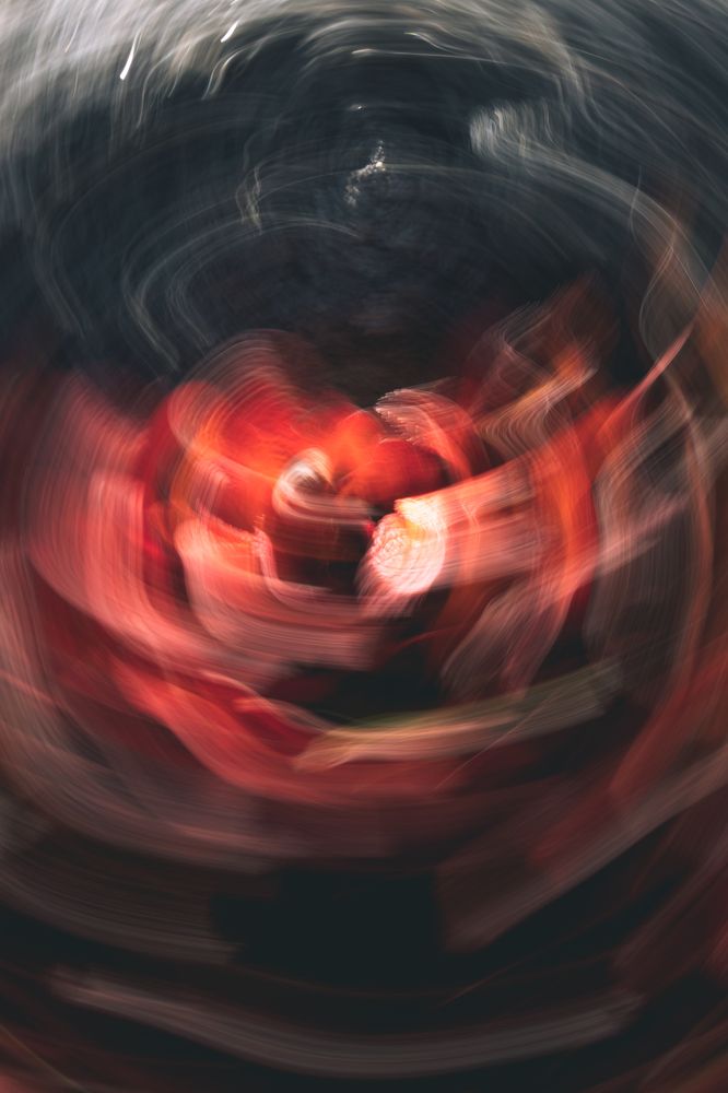 Photograph by Dawid Łozowicki