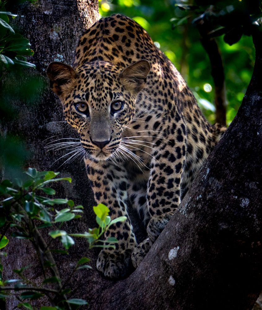 Photograph by Потапов Сергей