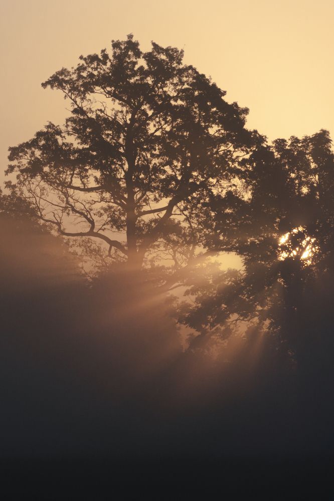 Photograph by Dawid Łozowicki