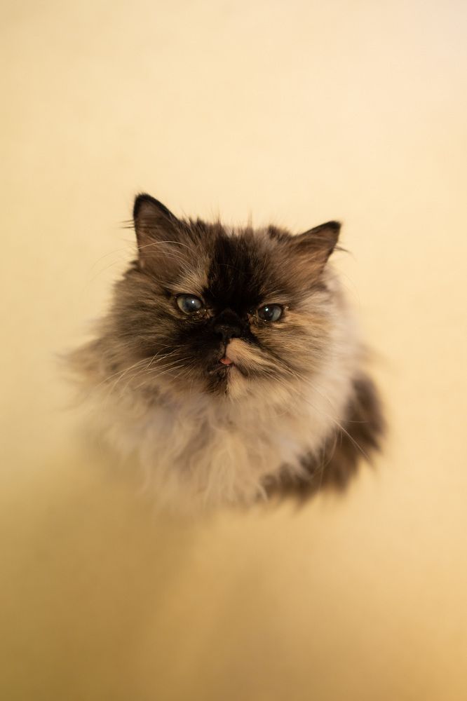 Photograph by Dawid Łozowicki