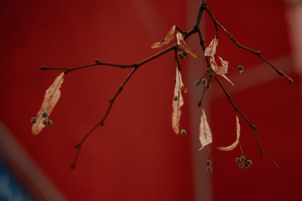 Photograph by Анна Муковозова