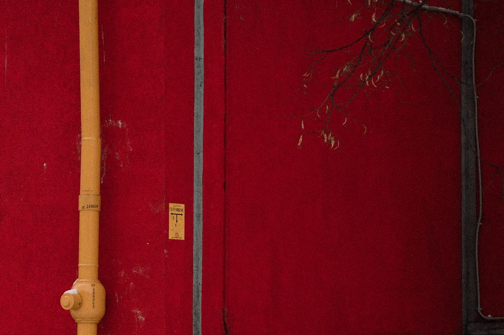 Photograph by Анна Муковозова