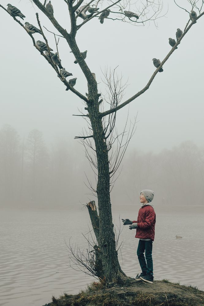 Photo #8387098