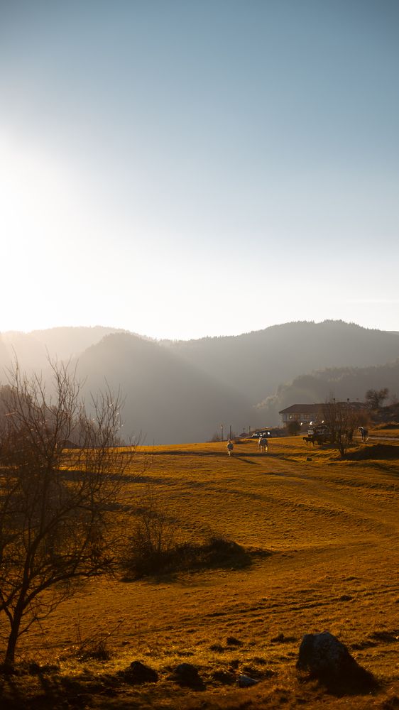 Photograph by Боян Андреев