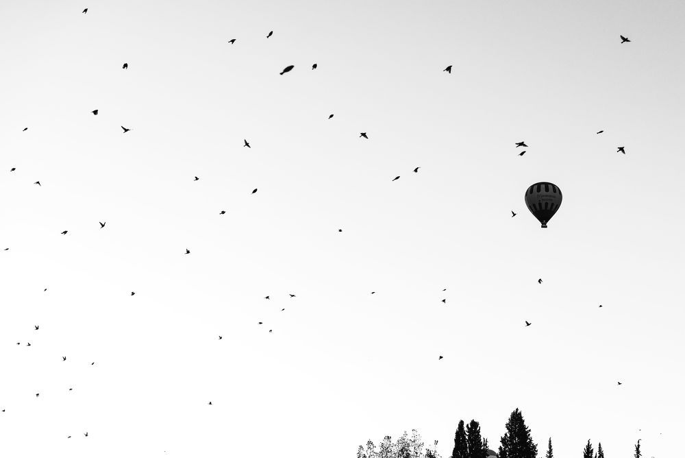 Фотография автора David Vargas