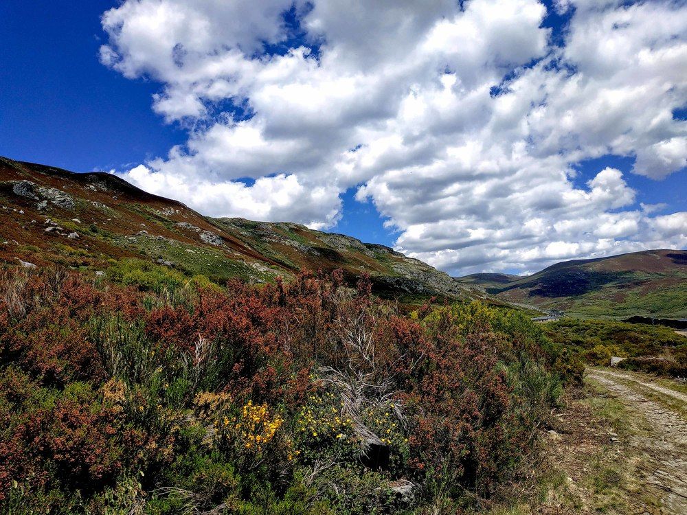 Photograph by JOSE LIMA RODRIGUES