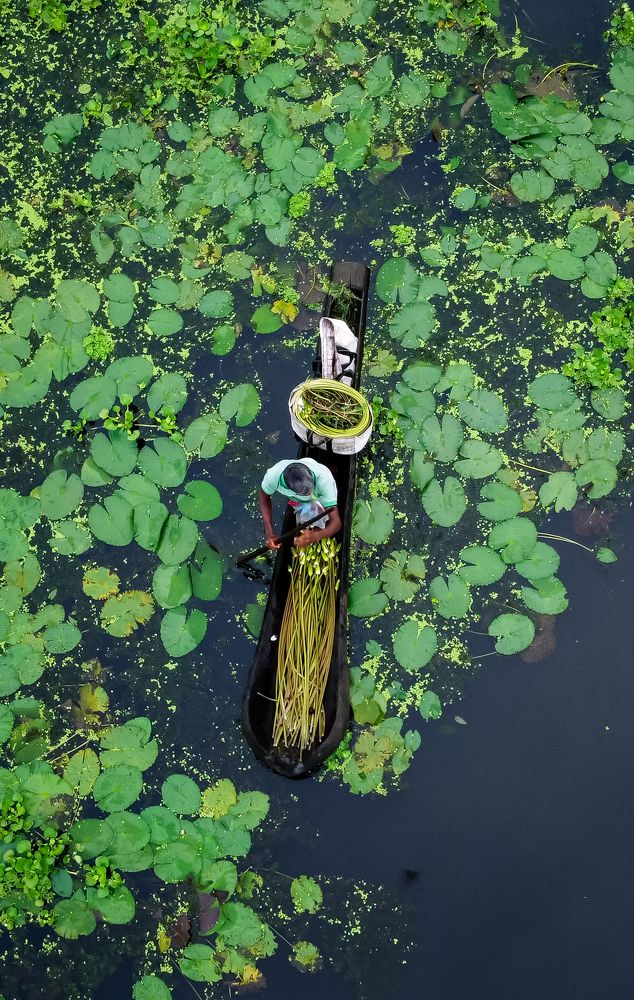 Photograph by Soumik Ghosh