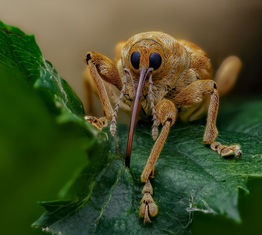 Photograph by Adrian Truchta