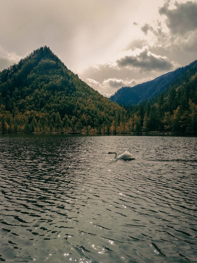 Photograph by Светлана Шелухеева