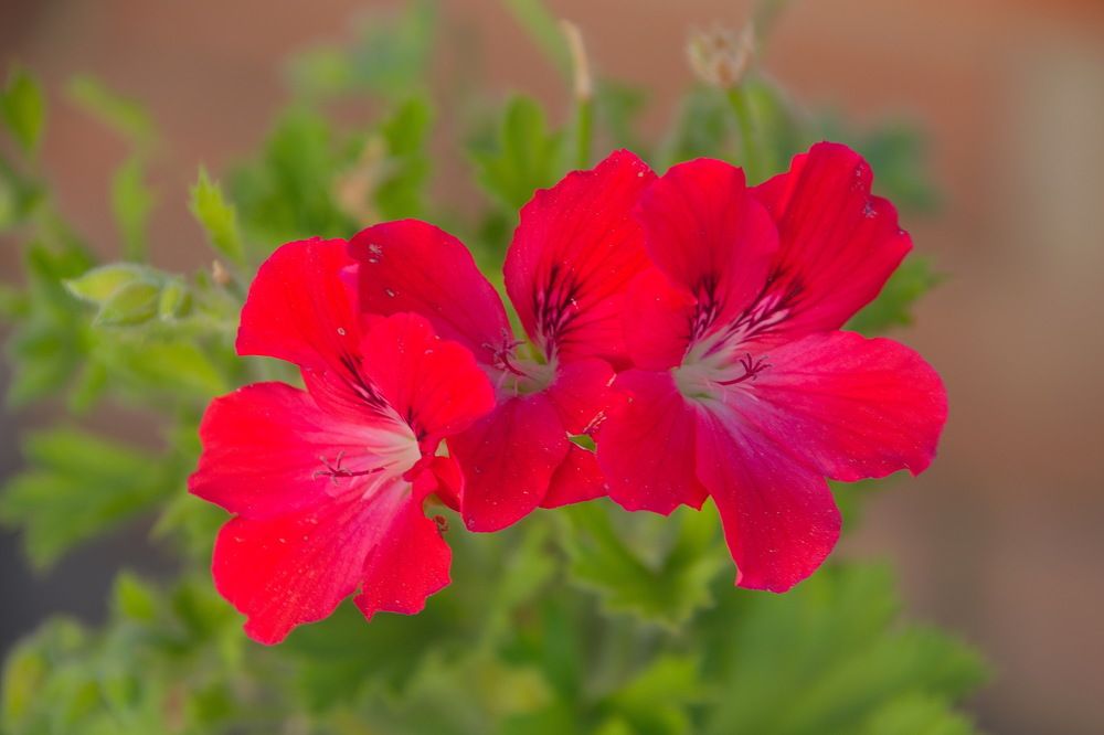 Photograph by Василий Быстрицкий