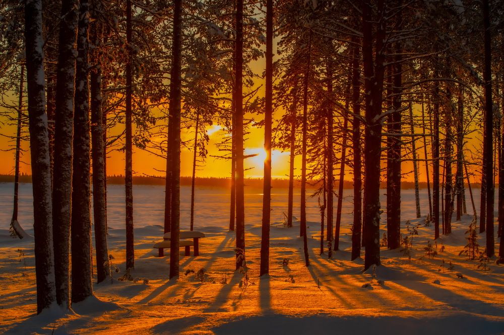 Photograph by Александр Бакин