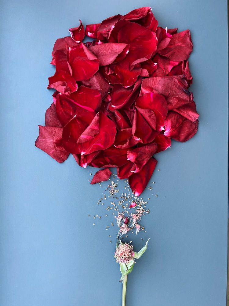 Photograph by Evgenia Barinova