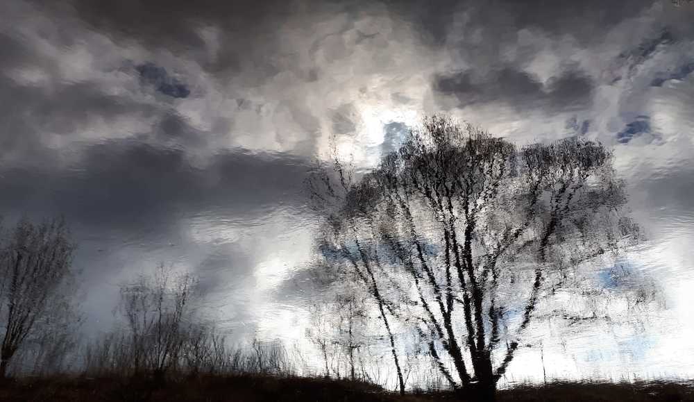 Фотография автора Екатерина Борзыкина