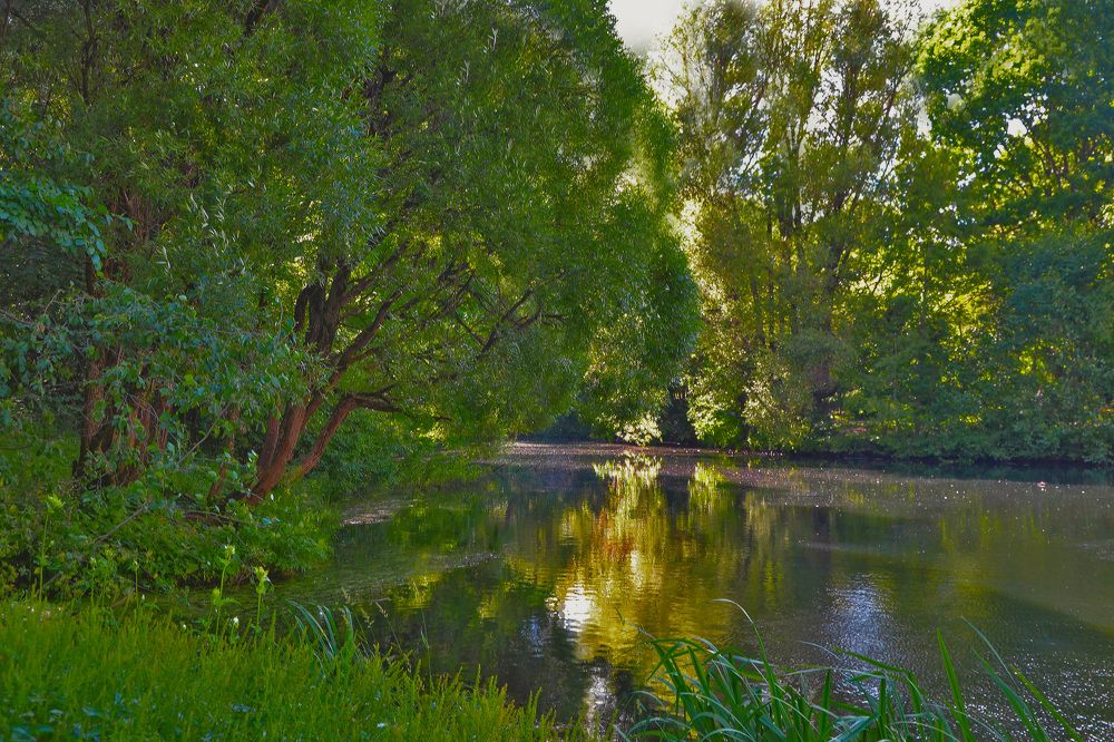 Photograph by Александра Климина