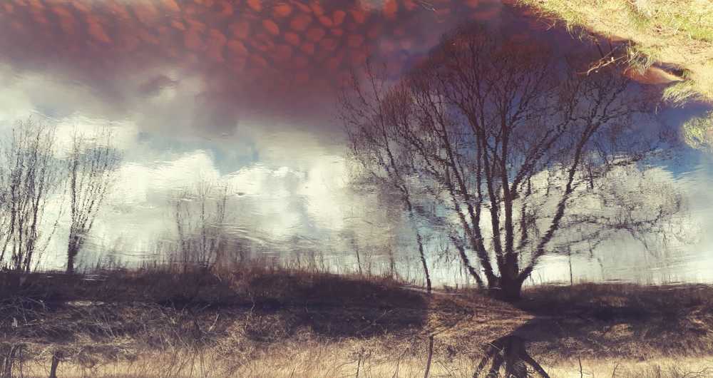 Фотография автора Екатерина Борзыкина