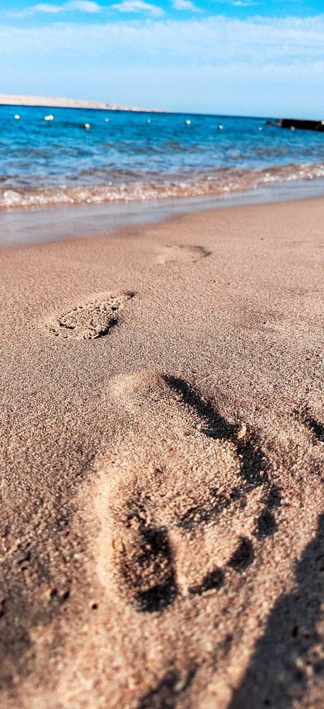 Фотография автора Наталья Королева