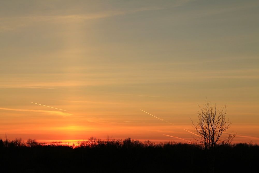 Photograph by Виктория Хмара