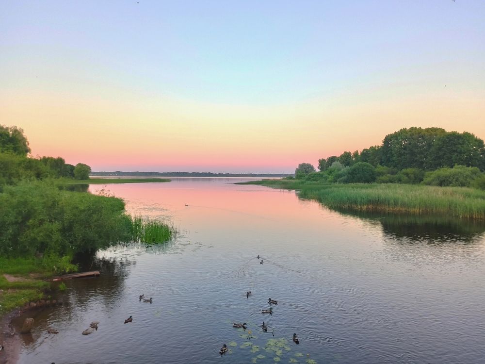 Photograph by Елена