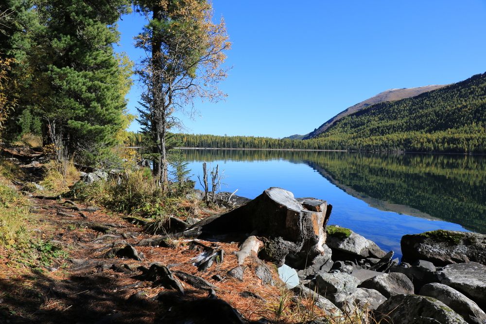 Нижнее Мультинское озеро