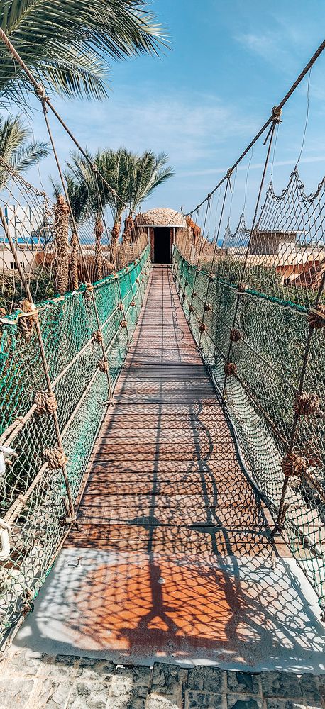 Фотография автора Наталья Королева