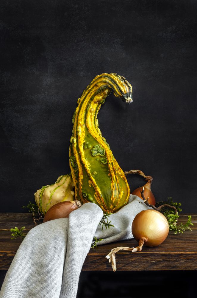 Still life with pumpkin and onion