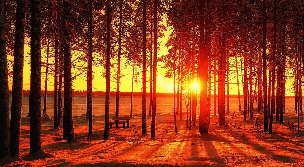 Photograph by Александр Бакин