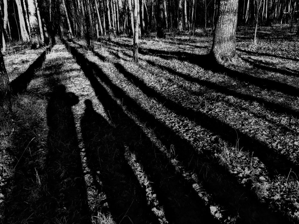 С внуком...! Светотень ...!