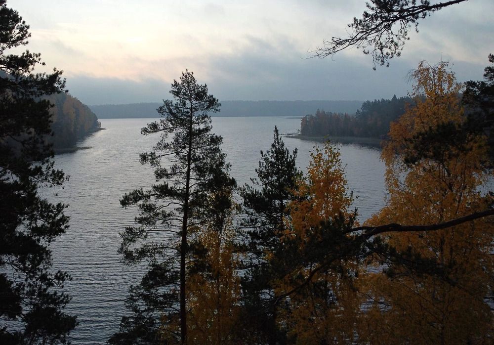Photograph by Лариса