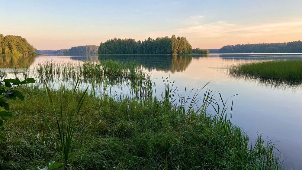Photograph by Лариса