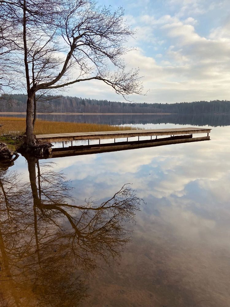 Photograph by Лариса