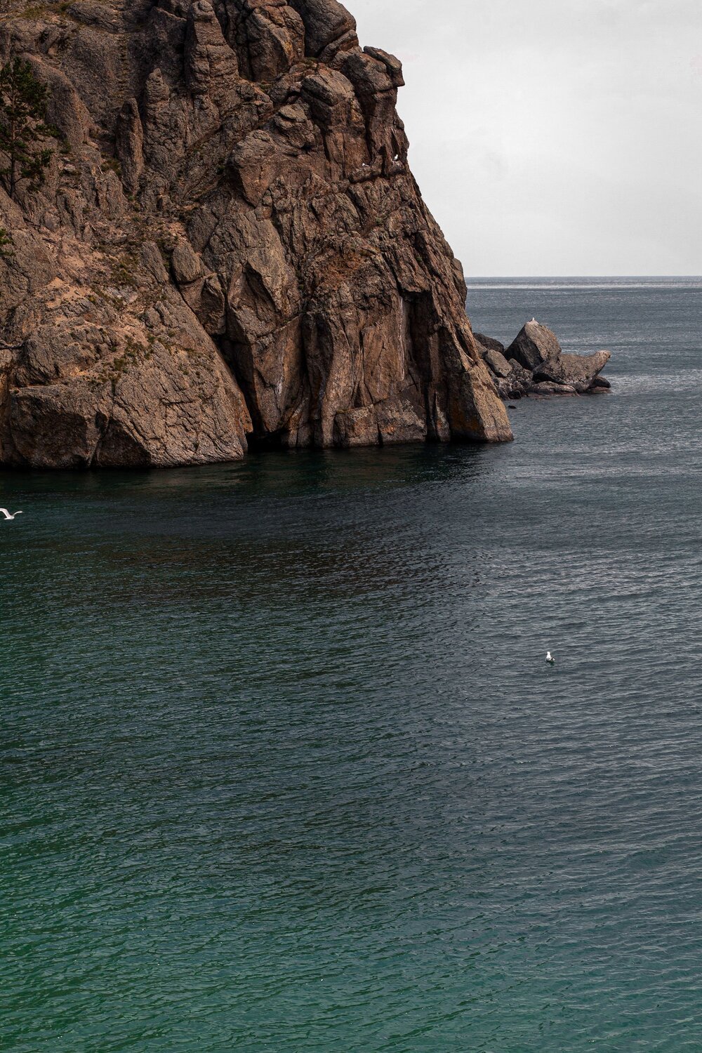 Photo #8387402