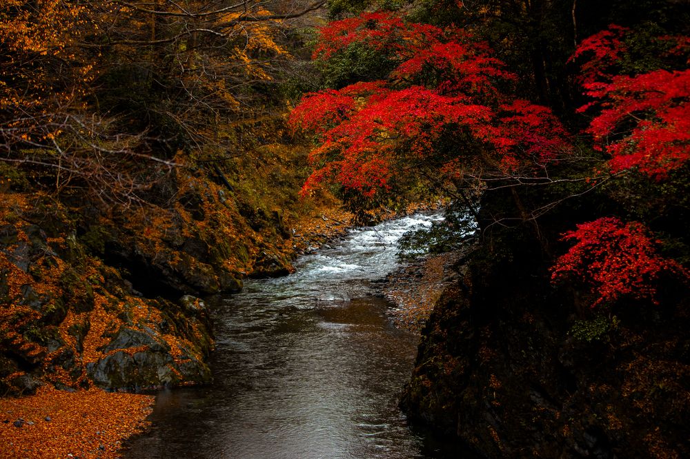 Photograph by LE HUY HUNG