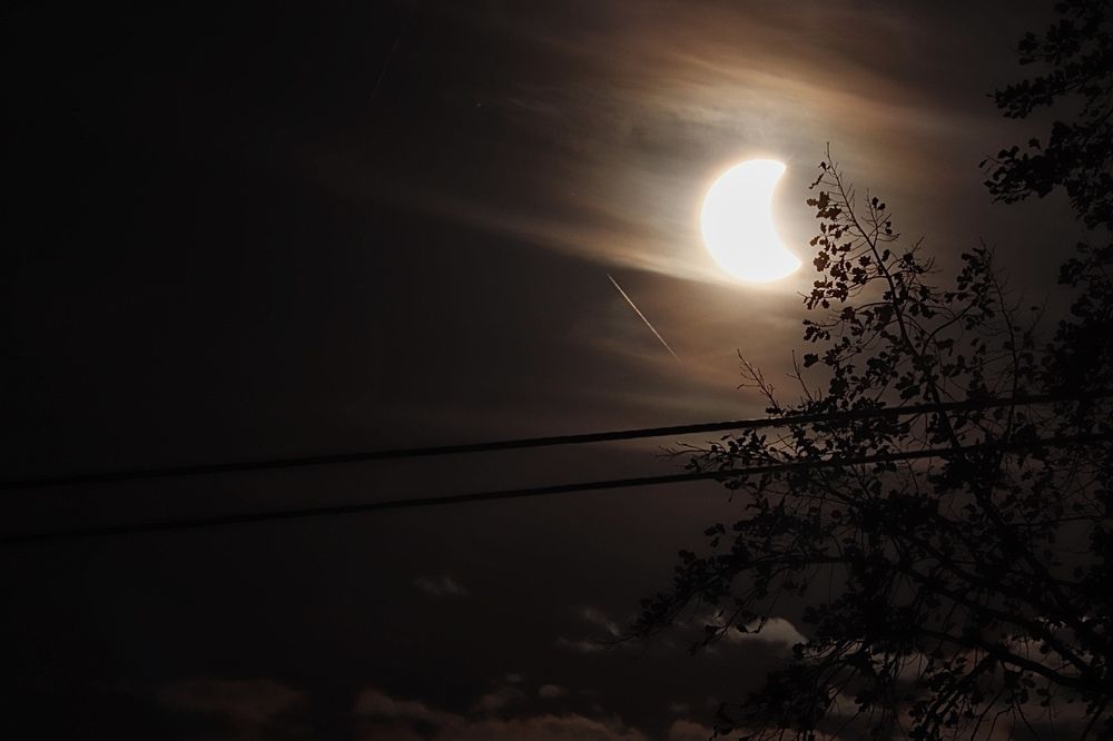 Photograph by Райхерт Вероника