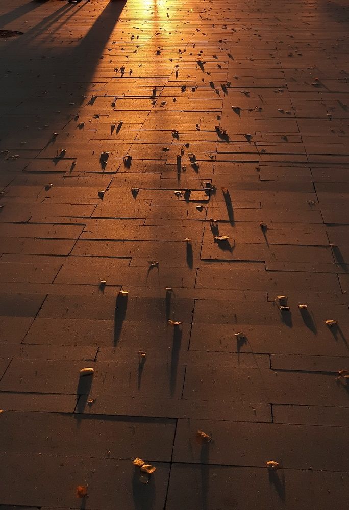 Фотография автора Ольга Кунакова