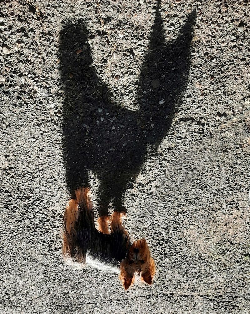 Фотография автора Ольга Кунакова