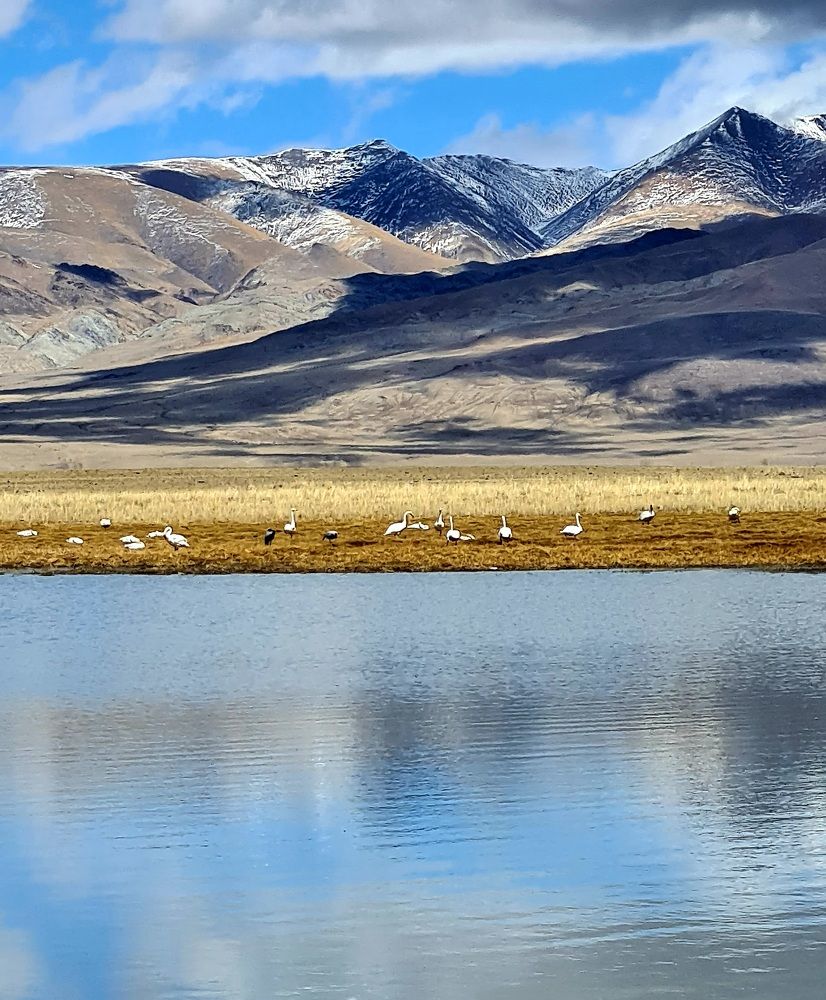 Photograph by Анастасия Агалакова