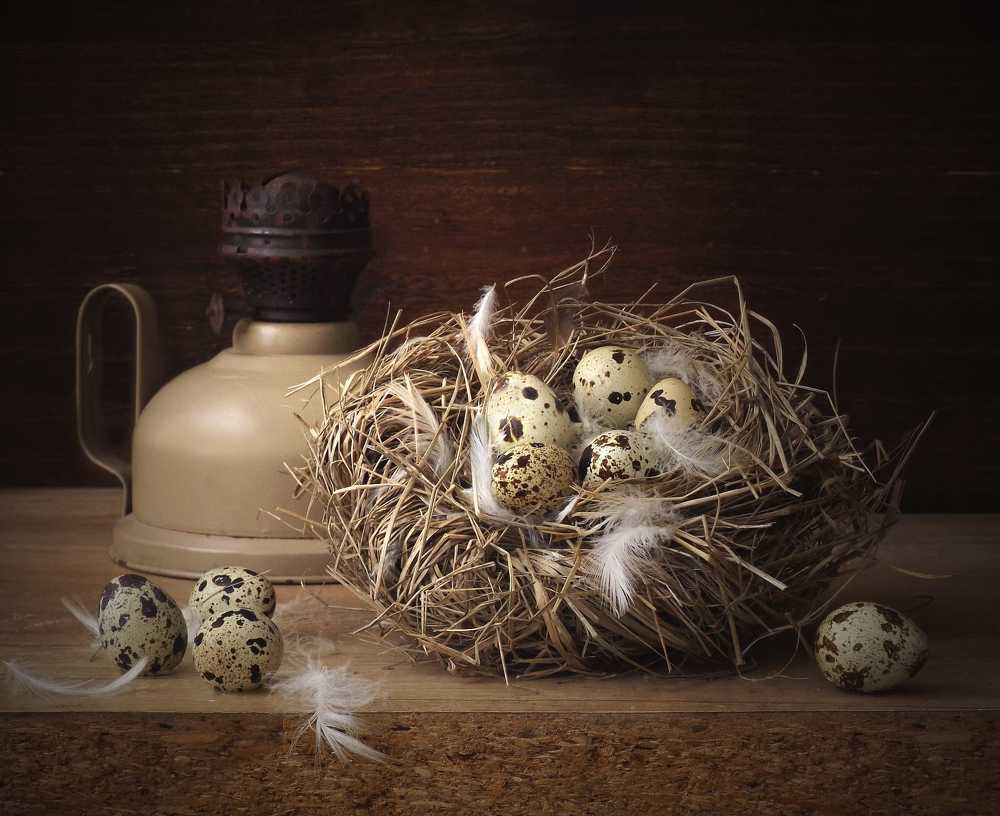 Photograph by Янина Черпухина-Андреева