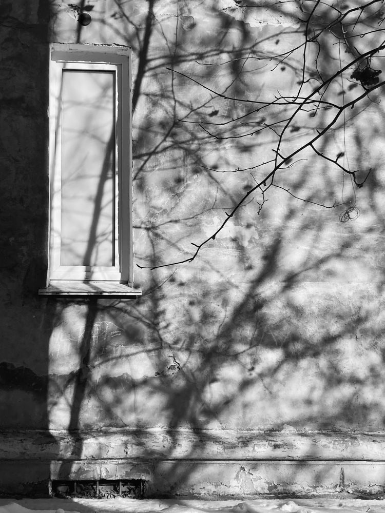 Photograph by Евгения Шубенкова