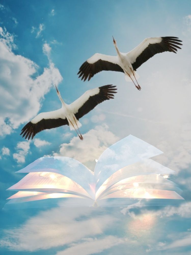 Photograph by Эмма Рахматуллина