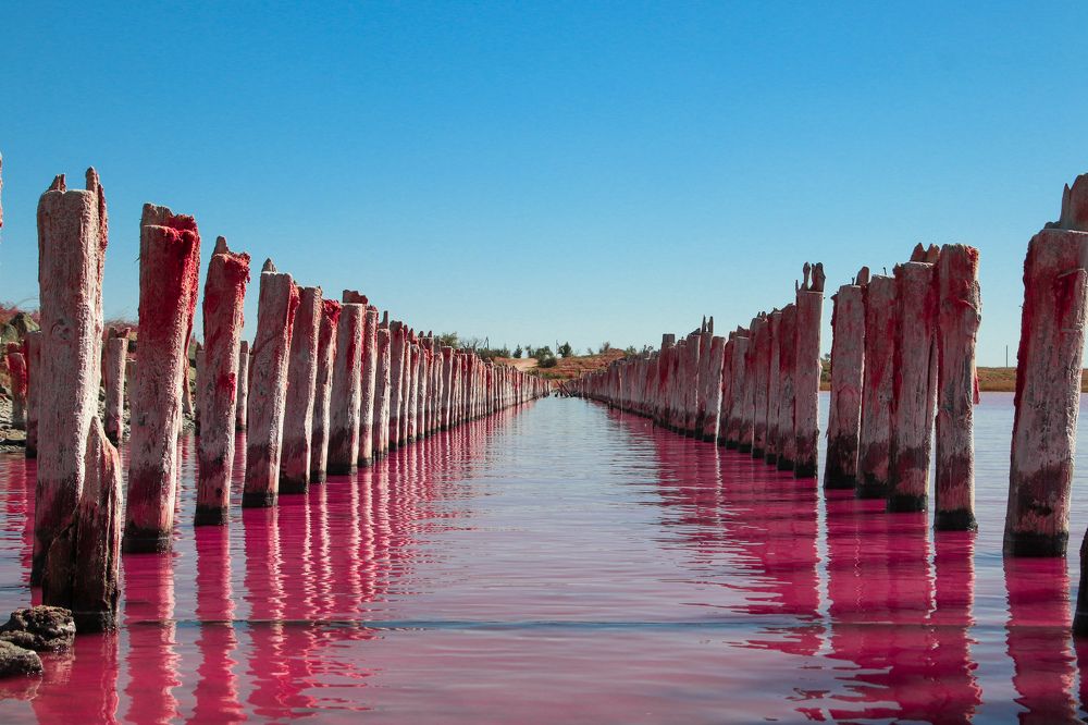 Photograph by Алексей