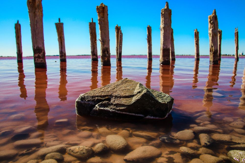 Photograph by Алексей