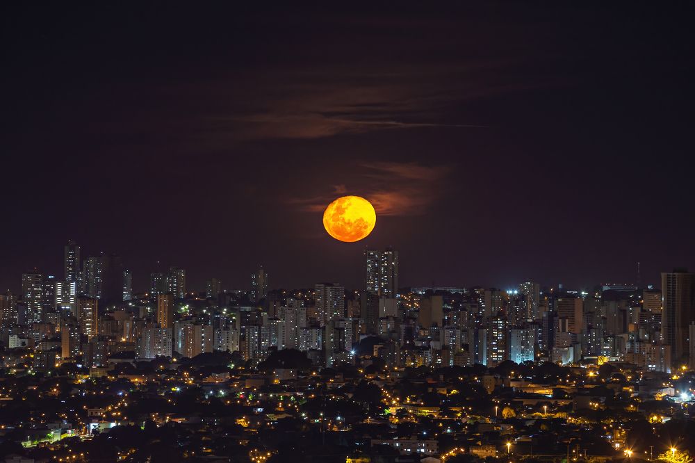 Photograph by Andre Miranda