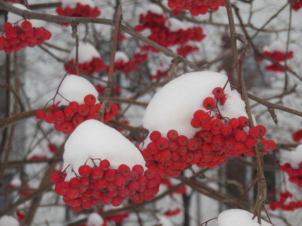 Photograph by Светлана Батурова