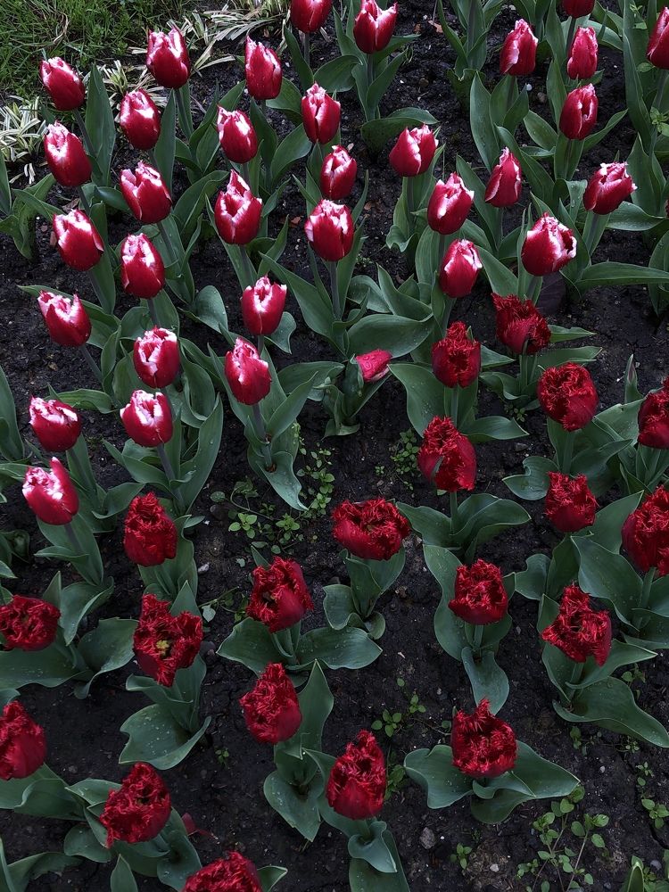 Photograph by Дарья